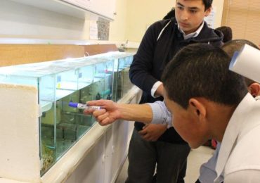 Centros CRHIAM e INCAR muestran sus investigaciones a los estudiantes de la Provincia de Arauco