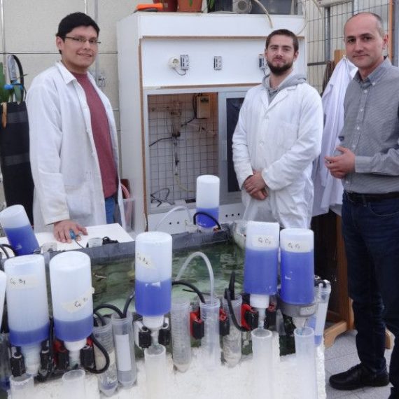 Investigador asociado del CRHIAM de la Universidad de la Frontera participa en una jornada de trabajo en la UDEC