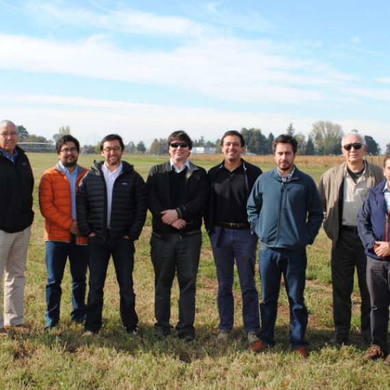 Investigadores del cluster Demanda se reunen en Chillán