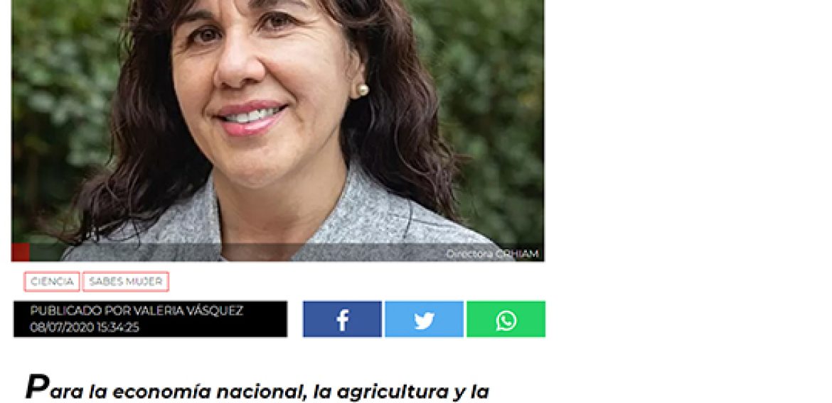 Entrevista a Gladys Vidal, Directora CRHIAM: La escasez hídrica, los desafíos en plena crisis sanitaria