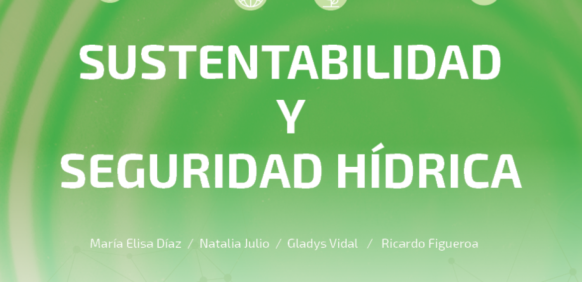 N°17 | Sustentabilidad y seguridad hídrica