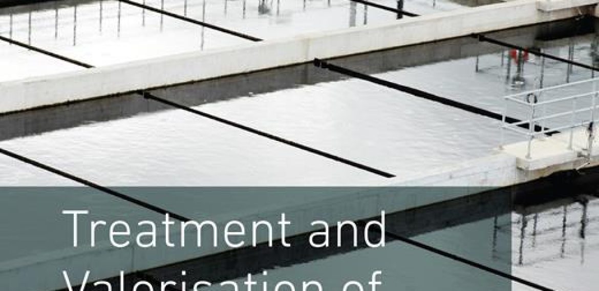 Treatment and Valorisation of Saline Wastewater: Principles and Practice