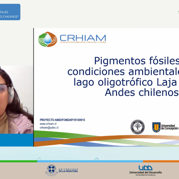 Ciclo de Charlas CRHIAM presentó estudio sobre condiciones ambientales del lago Laja