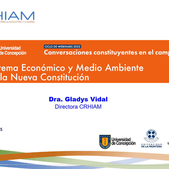 Directora CRHIAM participó como panelista en el ciclo de webinars “Conversaciones Constituyentes en el Campanil”
