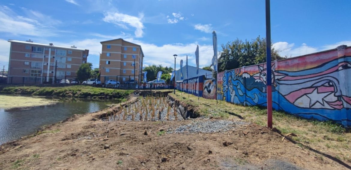 Centro Fondap CRHIAM realizará el monitoreo del primer humedal artificial urbano en Concepción