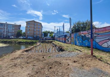 Centro Fondap CRHIAM realizará el monitoreo del primer humedal artificial urbano en Concepción