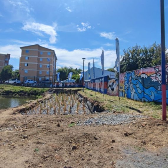 Centro Fondap CRHIAM realizará el monitoreo del primer humedal artificial urbano en Concepción