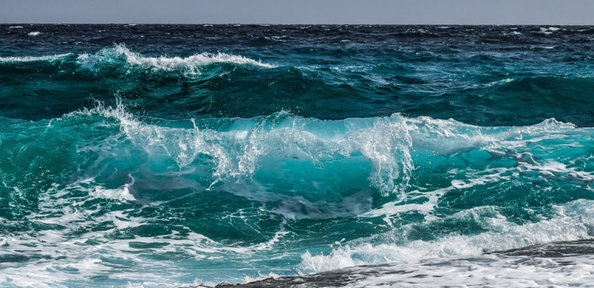 Mesa de Agua y Medioambiente publica documento con propuestas para un uso más sustentable del agua desalinizada